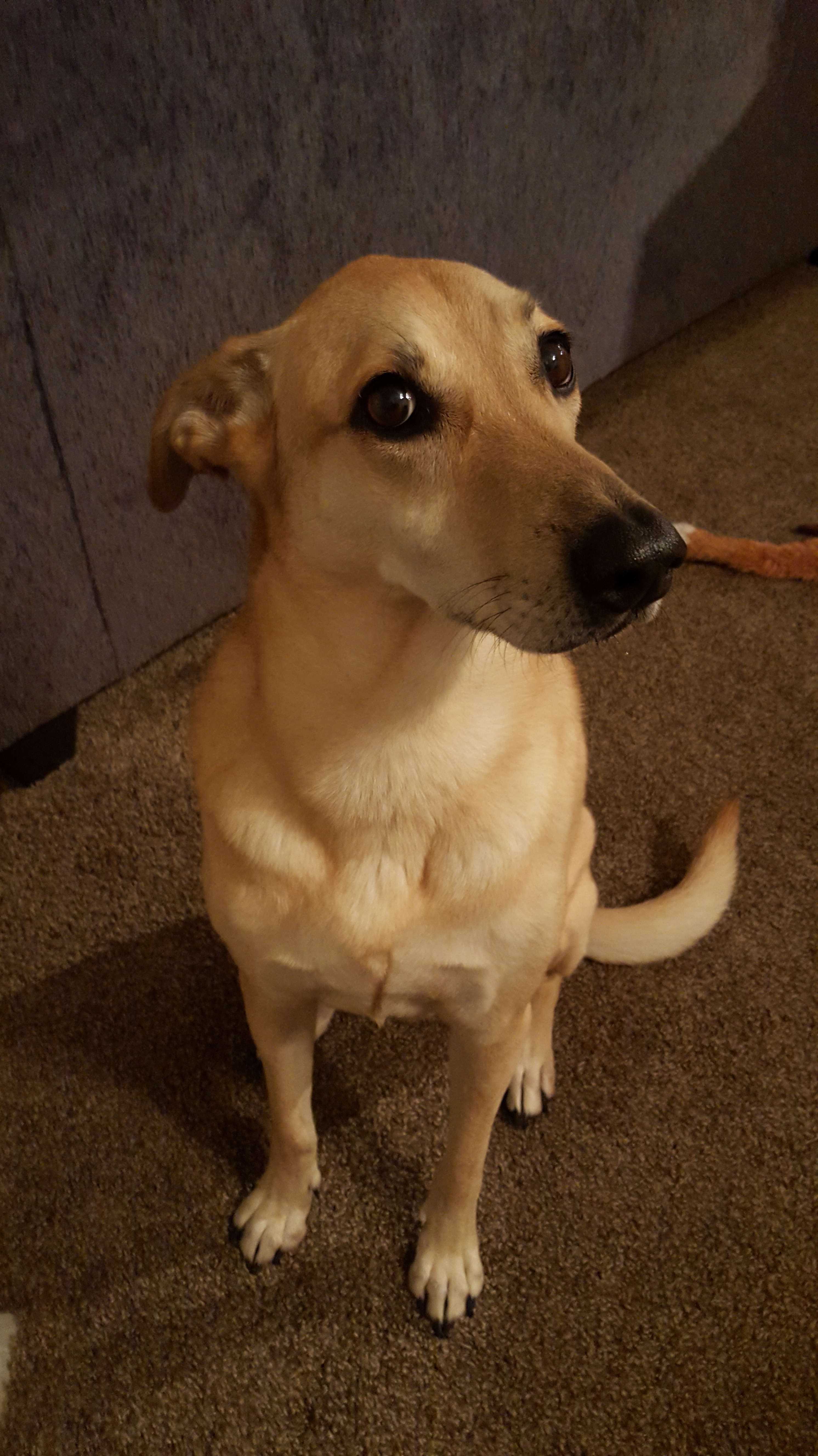 ChurchHouse Productions Samantha